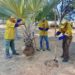 Alcaldía de Maracaibo trabaja en la recuperación integral de la Plaza El Bosque