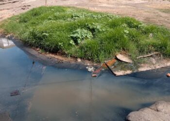 Las Aguas servidas se apoderan del sector Pomona, calle 105