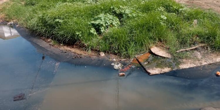 Las Aguas servidas se apoderan del sector Pomona, calle 105