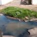 Las Aguas servidas se apoderan del sector Pomona, calle 105