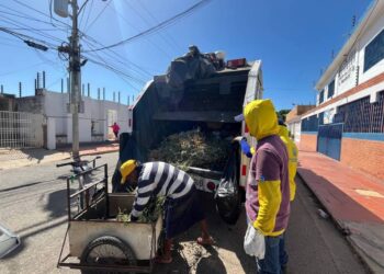 ¡Retención de carretilleros! IMA intensifica fiscalización en el sector Francisco de Miranda, parroquia Raúl Leoni