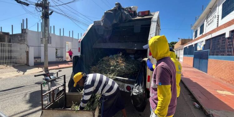 ¡Retención de carretilleros! IMA intensifica fiscalización en el sector Francisco de Miranda, parroquia Raúl Leoni
