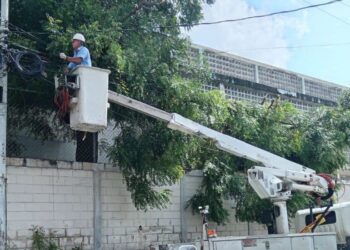 Labores de control de vegetación fortalecen servicio eléctrico en la Región Occidente