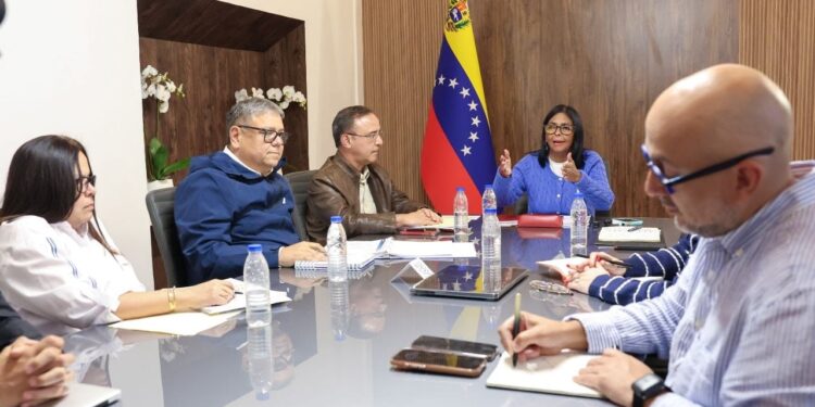 Presidenta Encargada anuncia inicio de plan especial de ahorro energético