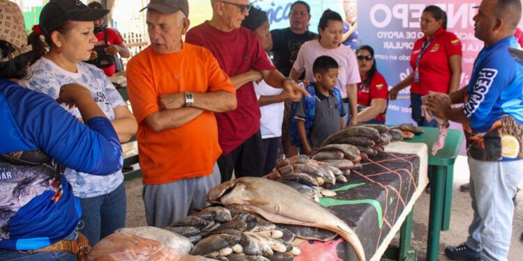 Este lunes Alcaldía de Maracaibo inicia Feria del Pescado en Plaza para Todos