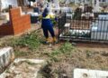 La Alcaldía de Maracaibo intensifica limpieza y mantenimiento en cementerios municipales