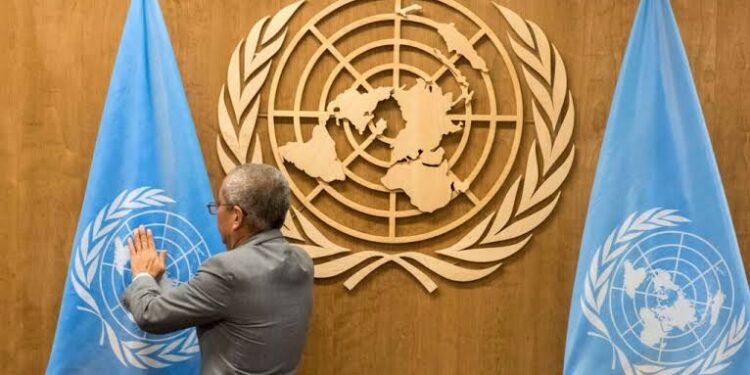 La ONU exige rediseñar las redes sociales para proteger a los menores
