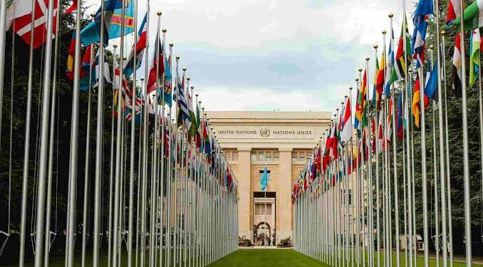 La Asamblea General de la ONU elige a Austria, Kirguistán, Portugal, Trinidad y Tobago, y Zimbabue como nuevos miembros del Consejo de Seguridad 