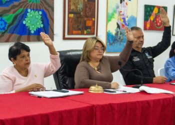 Concejales marabinos aprueban crédito adicional por 57 millones de bolívares para alumbrado público en Bella Vista