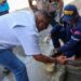 Operativo de fiscalización ambiental en comercios