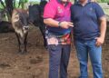 Maracaibo culminó Plan Nacional de Caracterización de la Ganadería Bovina