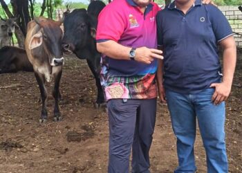 Maracaibo culminó Plan Nacional de Caracterización de la Ganadería Bovina