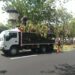 IMA insta a Corpoelec a mesa de trabajo para coordinar planes de poda en Maracaibo